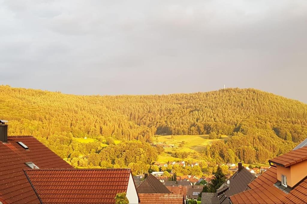 Ferienwohnung Talblick Im Schwarzwald Seelbach  Ngoại thất bức ảnh