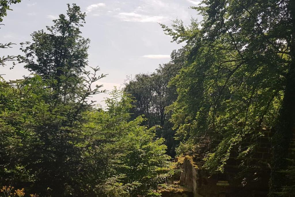Ferienwohnung Talblick Im Schwarzwald Seelbach  Ngoại thất bức ảnh