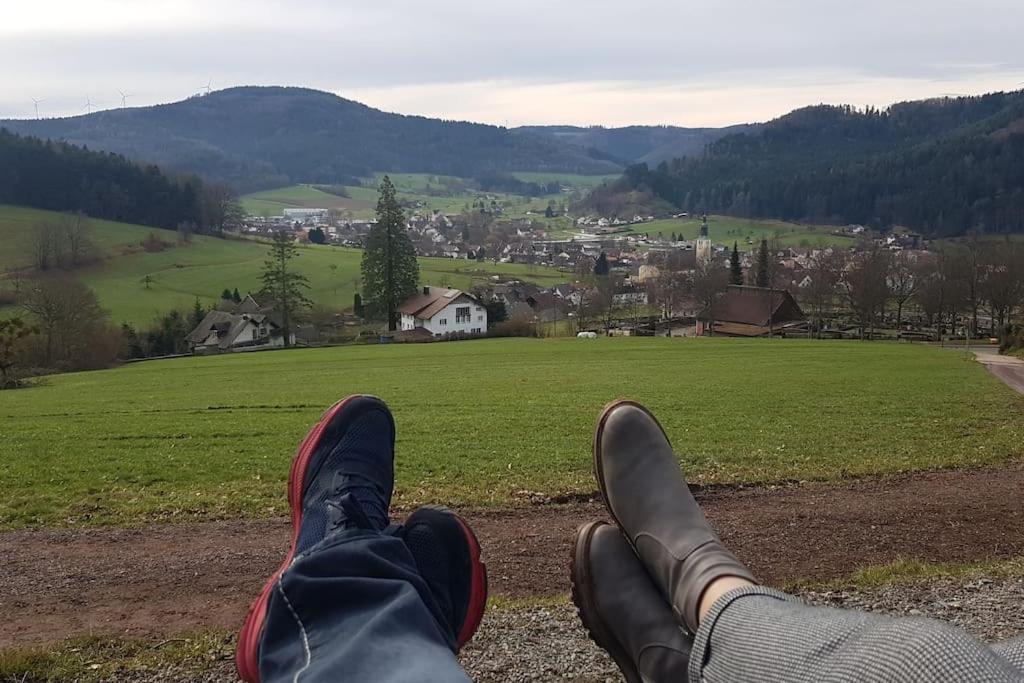 Ferienwohnung Talblick Im Schwarzwald Seelbach  Ngoại thất bức ảnh