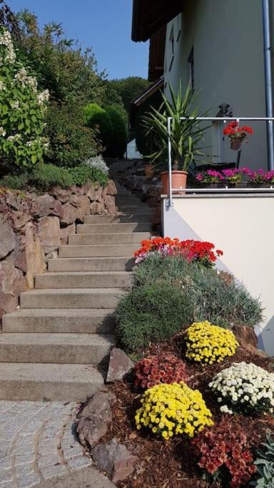 Ferienwohnung Talblick Im Schwarzwald Seelbach  Ngoại thất bức ảnh