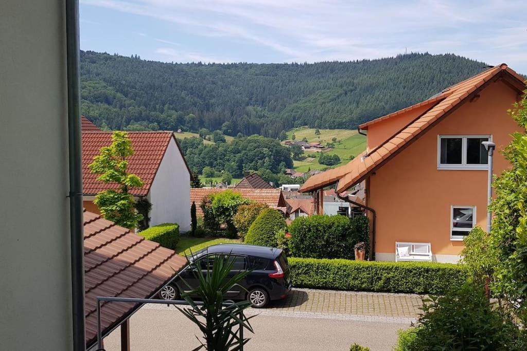 Ferienwohnung Talblick Im Schwarzwald Seelbach  Ngoại thất bức ảnh