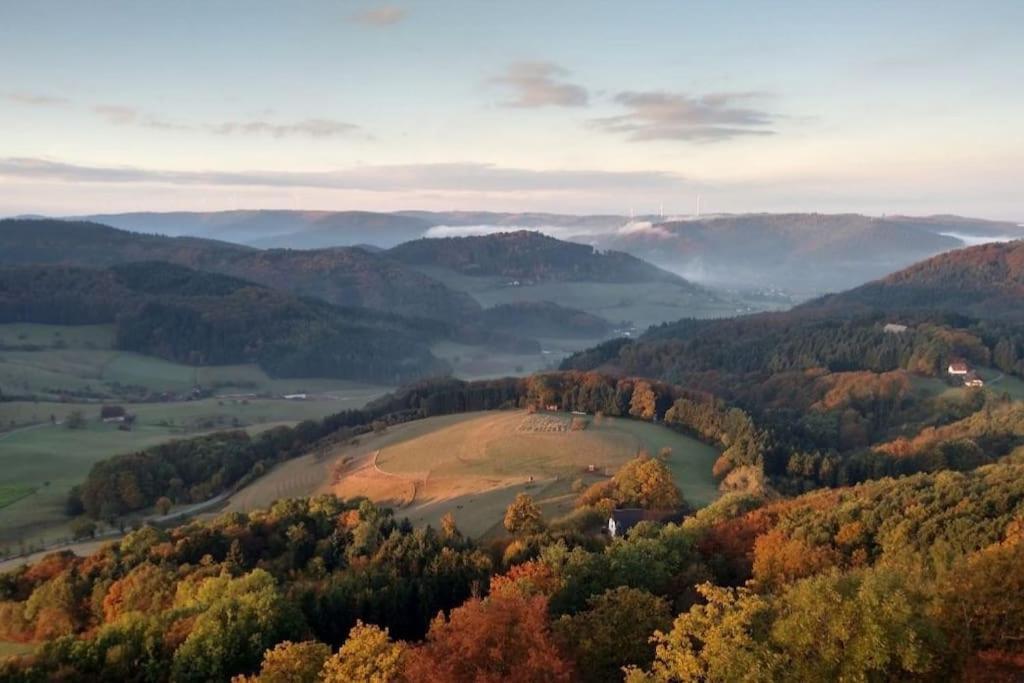 Ferienwohnung Talblick Im Schwarzwald Seelbach  Ngoại thất bức ảnh