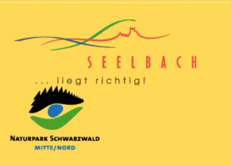 Ferienwohnung Talblick Im Schwarzwald Seelbach  Ngoại thất bức ảnh