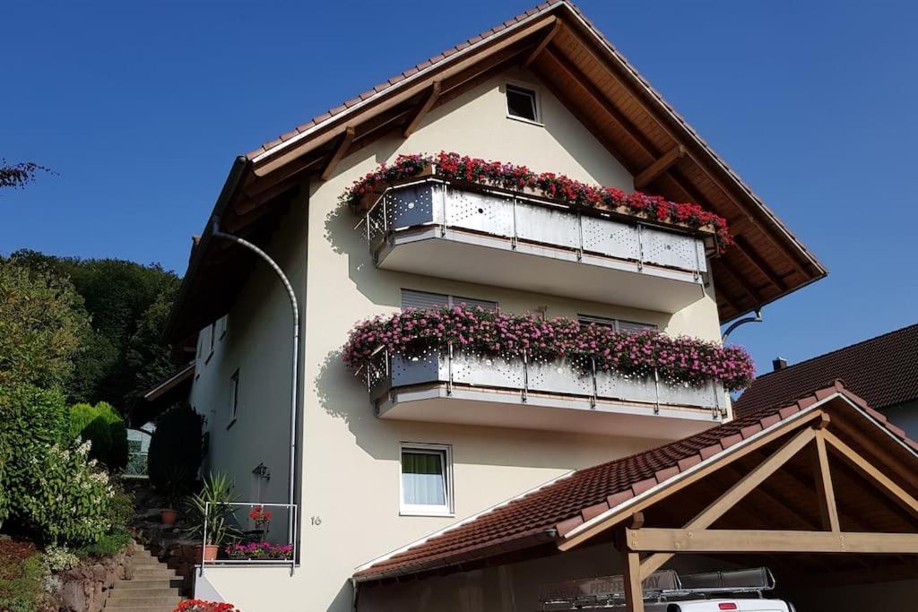 Ferienwohnung Talblick Im Schwarzwald Seelbach  Ngoại thất bức ảnh
