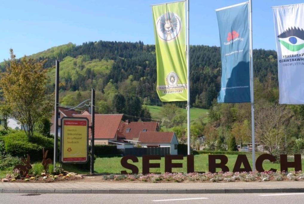 Ferienwohnung Talblick Im Schwarzwald Seelbach  Ngoại thất bức ảnh