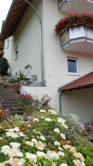 Ferienwohnung Talblick Im Schwarzwald Seelbach  Ngoại thất bức ảnh